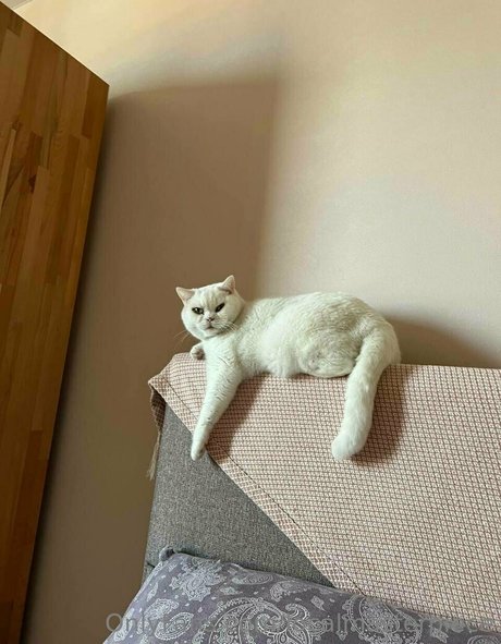 Localmasterpiece hd model photo