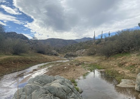 lil rayne model hd images