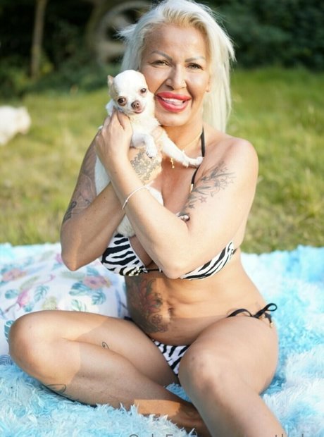 costbaby star high quality picture