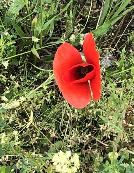 femdomyou pornstar erotic img