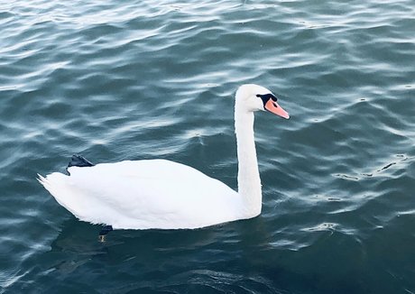 school uniform onlyfans naked images