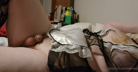 nekoarc top star picture