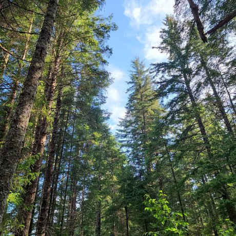 Armand William nice model images