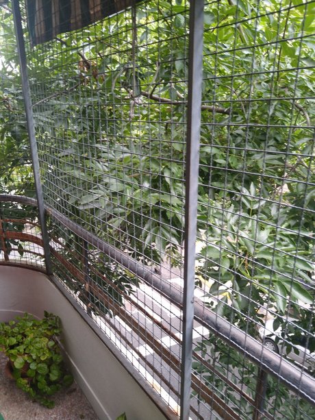 alejandro b jar model nudes images