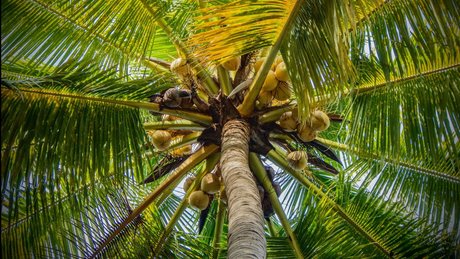 Eros Mezzanotte pornstar hd img