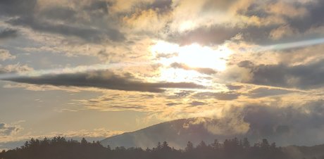 Adirondack Bear free model images