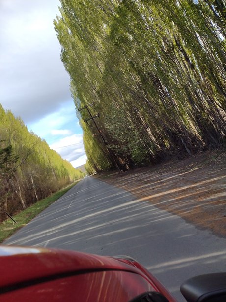 Catarsis star nice photo