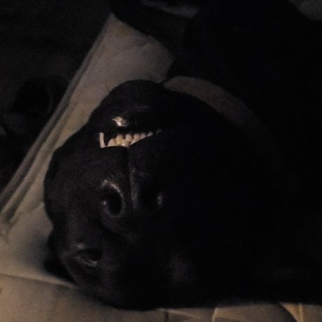 Gaven perfect model pic