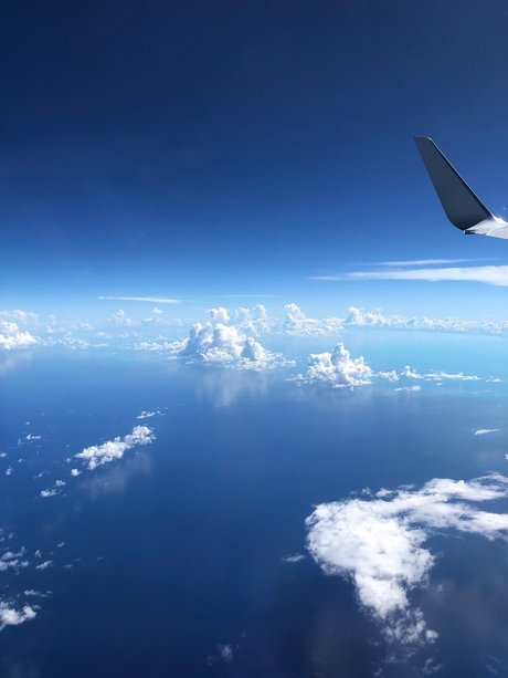 OF Black Creators star gallery