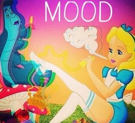 Stoner Beauty Feet perfect star img