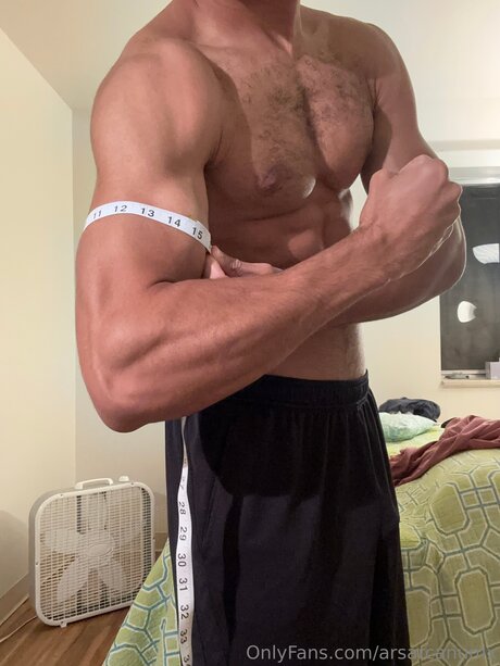 Ars Arcanum_ high quality star galleries