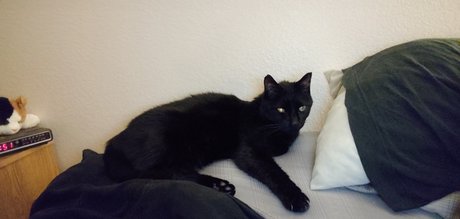 Outsdr perfect pornstar pictures