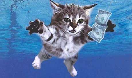 _Oriental Tinkerbell_ hd star img