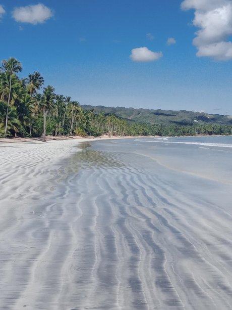 Patsy Labone model sexy archive