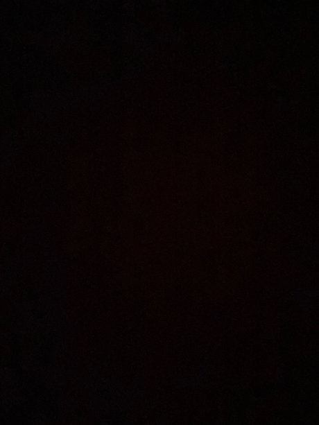 Pasta free pornstar pic