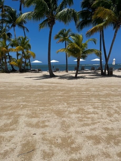 Papi Gambino star hot photo