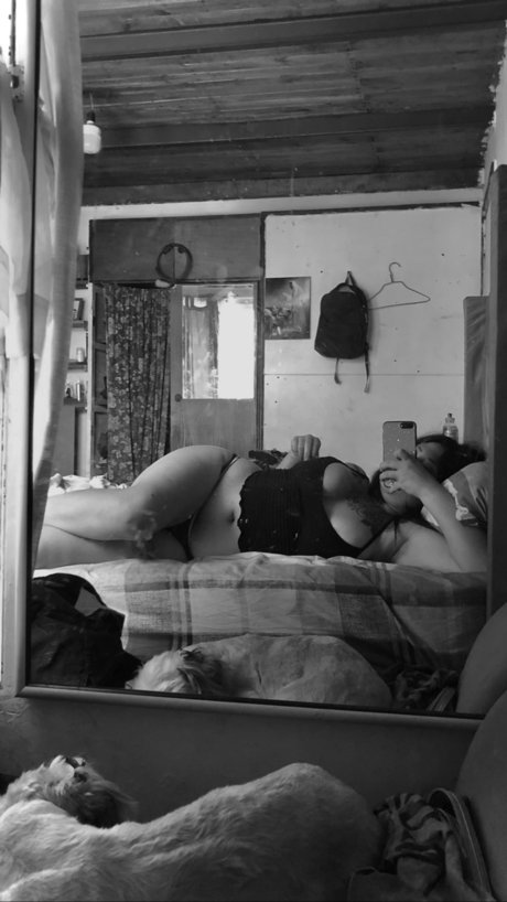 Fran Ibarra star archive