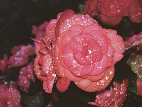 peachy babe nude star photos