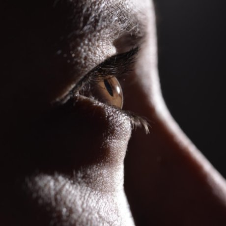 Paula Allen high quality pornstar images