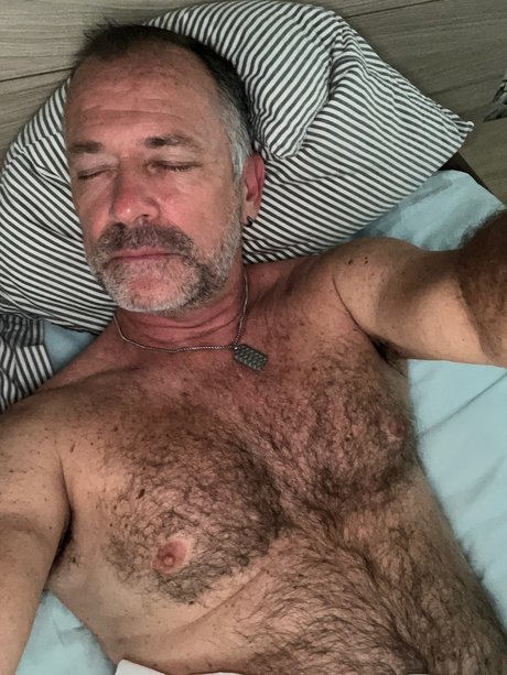 Daddy bear sexy star img