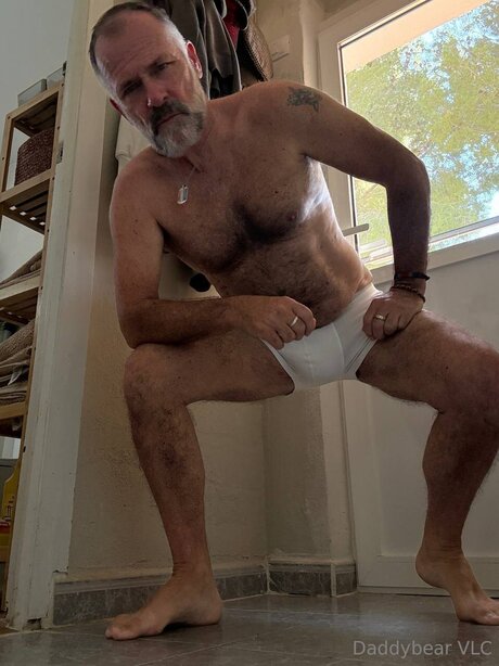 Daddy bear free star pictures