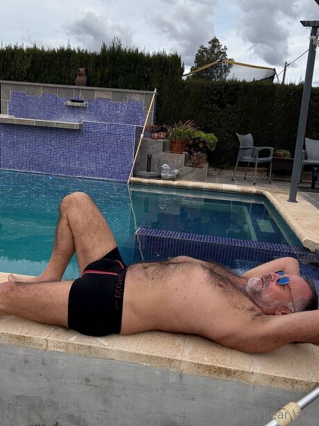 Daddy bear model art picture