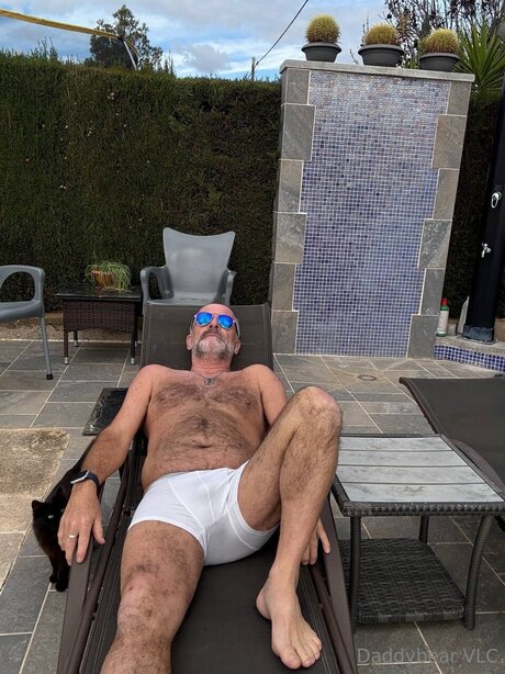 Daddy bear high quality model image