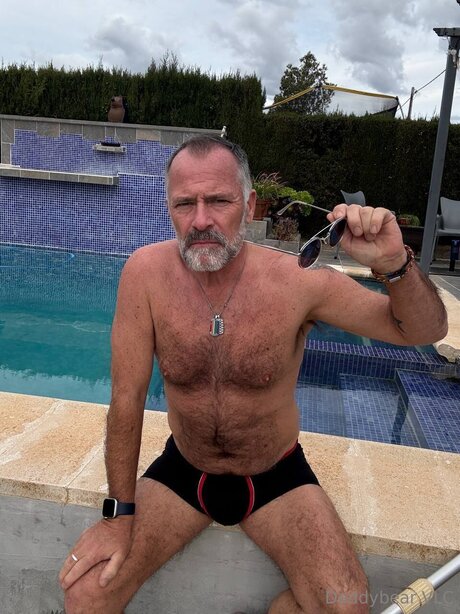 Daddy bear pornstar art images