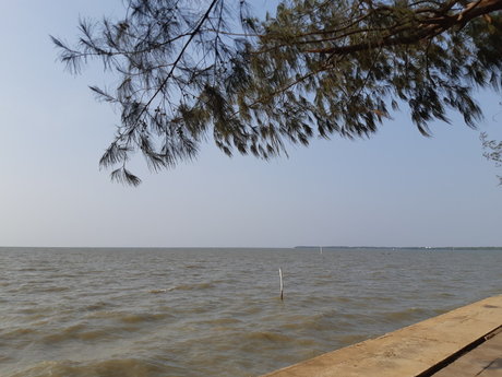 Chiba hot star picture