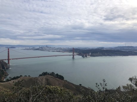 PlantDaddy SF model porn photos