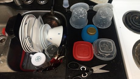 Dadbods and Dishes star pretty picture