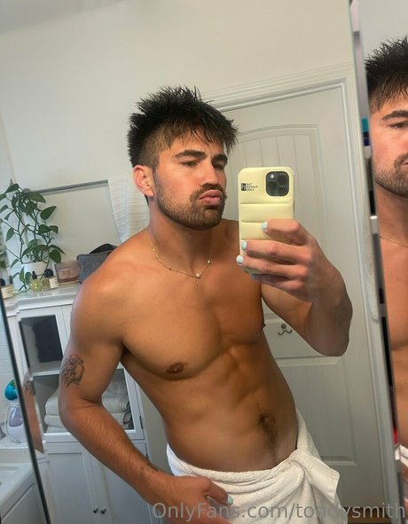 toddysmith art star pic