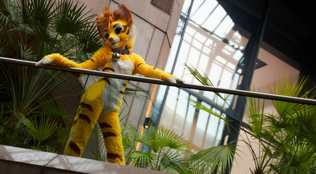 thatyellowkitty pretty model pic