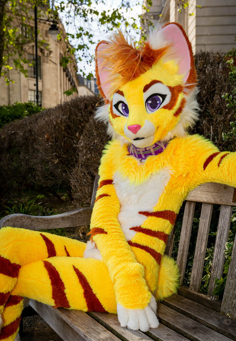 thatyellowkitty pornstar nice photo