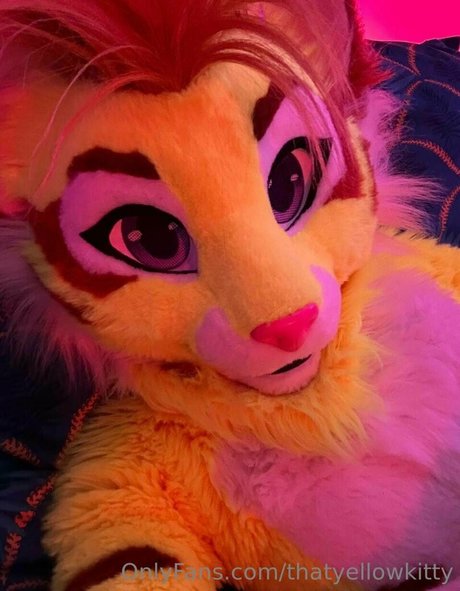 thatyellowkitty star pretty photos