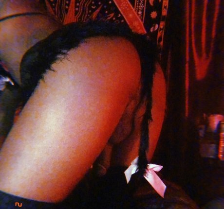 vanniallfree porn actress photo