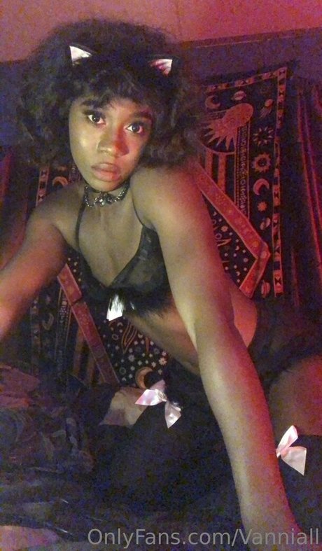 vanniallfree star high quality gallery