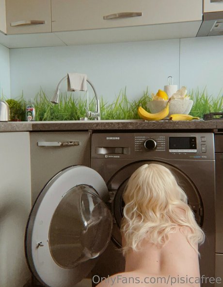 pisicafree nude pornstar image