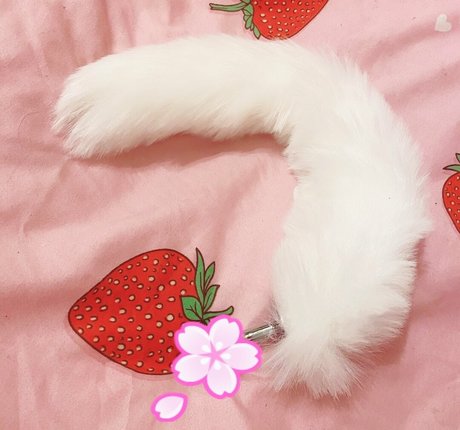 dioxamour perfect model gallery