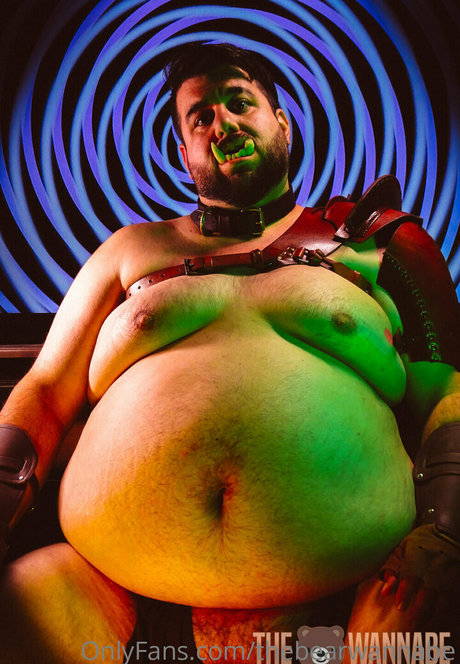 thebearwannabe actress images