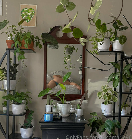 babysitter onlyfans free image