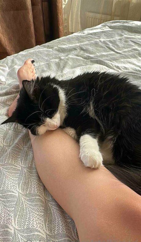 stellamori art model gallery