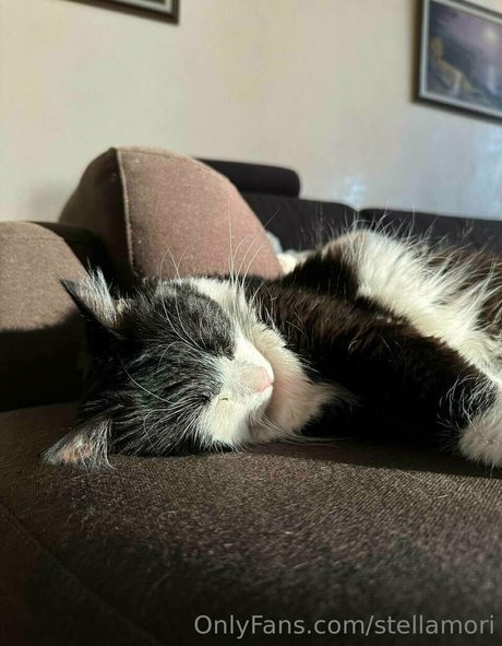 stellamori model pornographic galleries