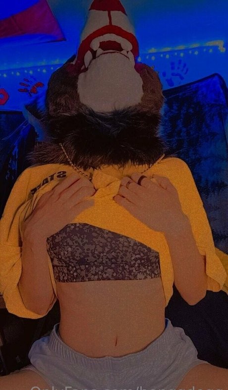 Bonggdogg top pornstar galleries