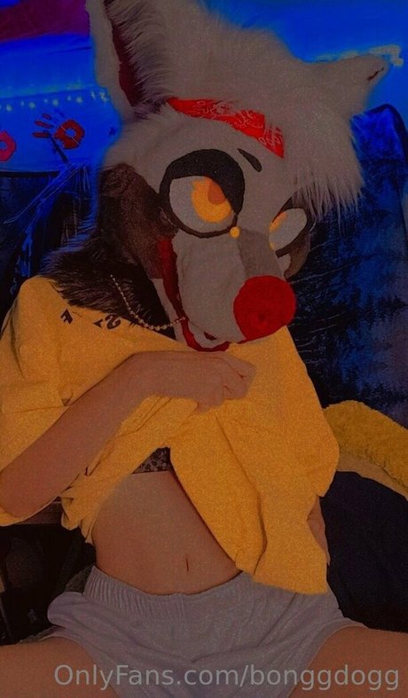 Bonggdogg nudes pornstar picture