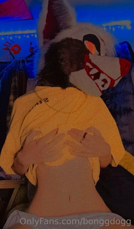 Bonggdogg pornstar nice image