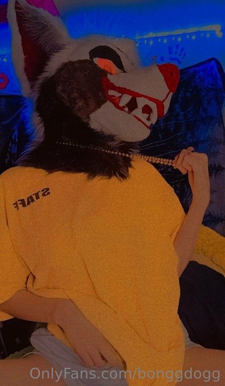 Bonggdogg hot star gallery