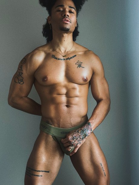 Chico Fit profile pic