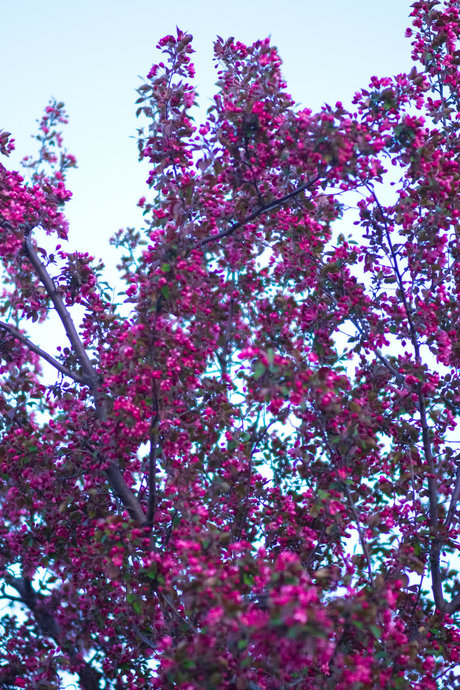 Puma Luna naked actress pictures