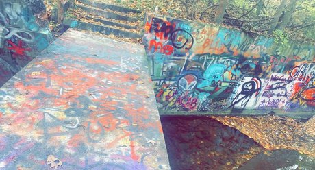 Priscilla r o w e hot star picture